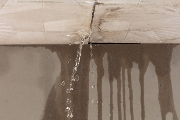 Professional Sewage Cleanup technician working in Maryville, IL